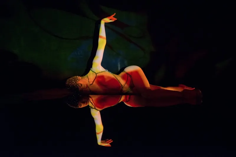 Crazy Horse Paris: Show Only