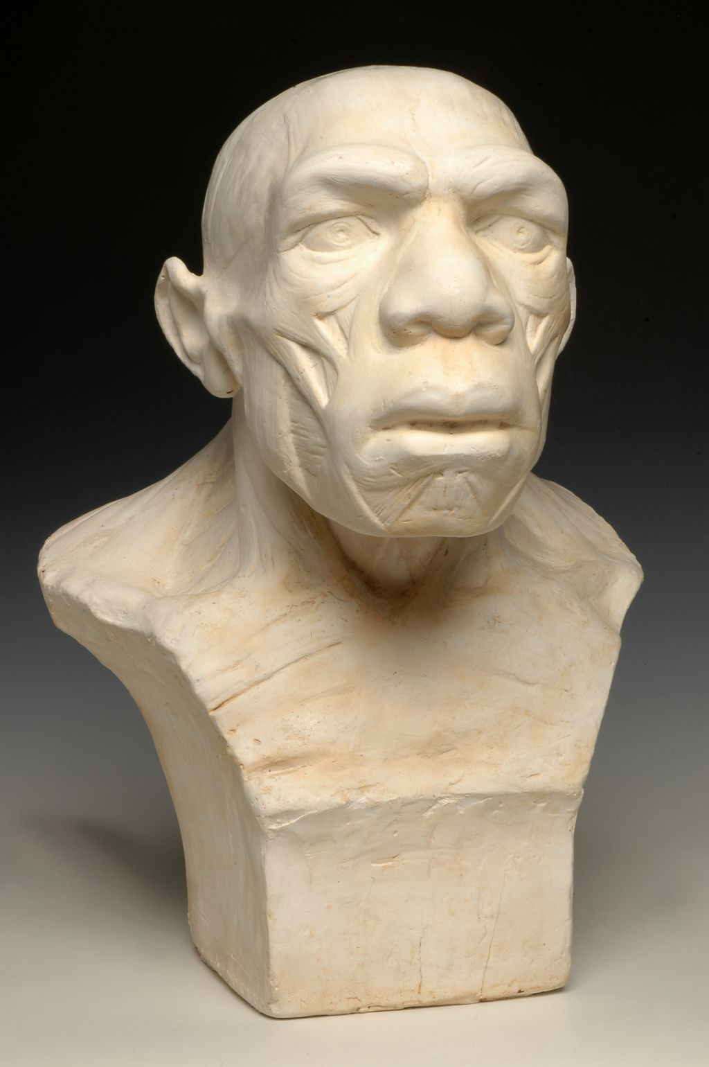 Musée de l’Homme: Skip The Line Ticket