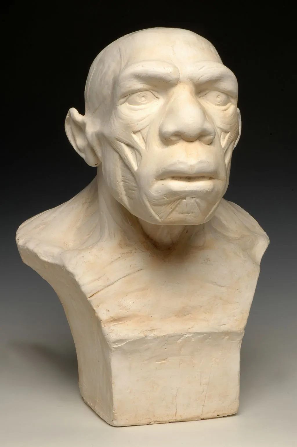 Musée de l’Homme: Skip The Line Ticket