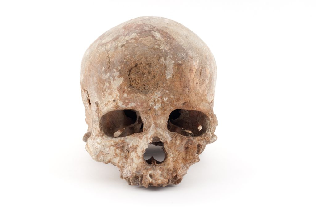 Musée de l’Homme: Skip The Line Ticket