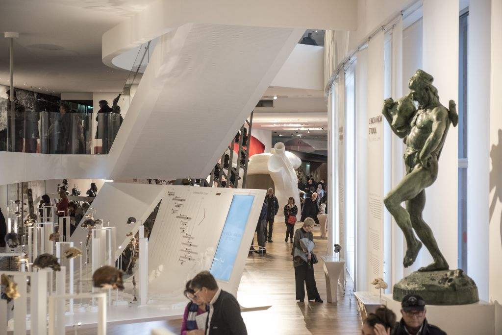 Musée de l’Homme: Skip The Line Ticket