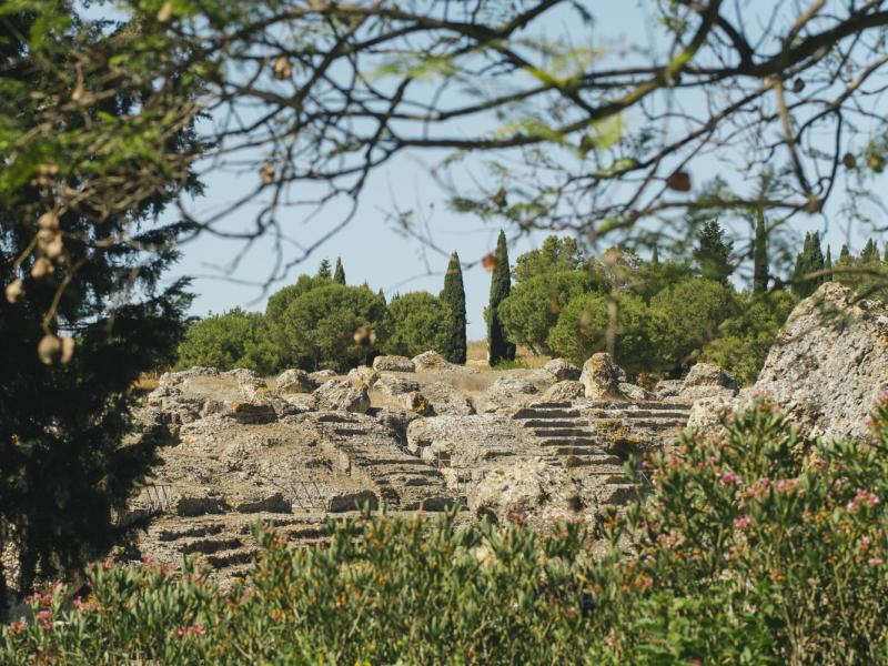 Guided Tour of Italica
