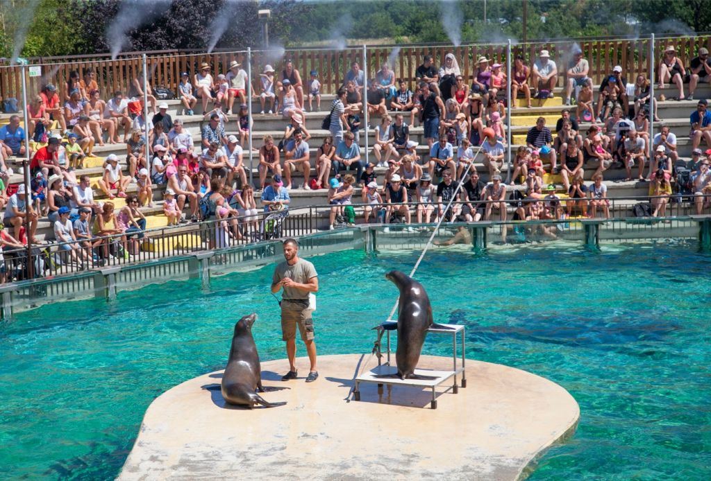 Safari de Peaugres: Entry Ticket