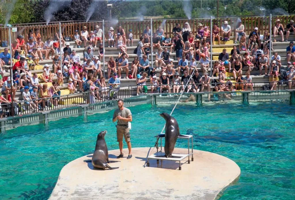 Safari de Peaugres: Entry Ticket