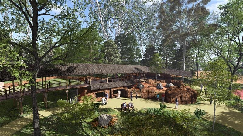 ZooParc de Beauval: Billet d'entrée