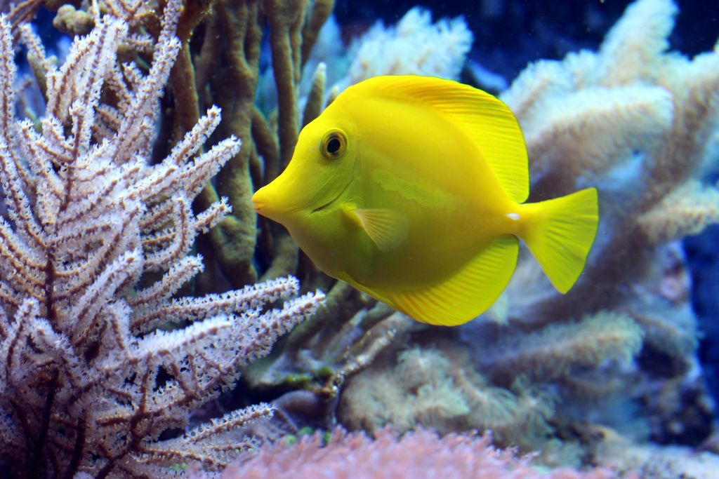 SEA LIFE Paris Aquarium