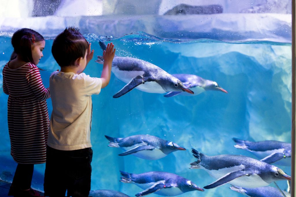 SEA LIFE Paris Aquarium
