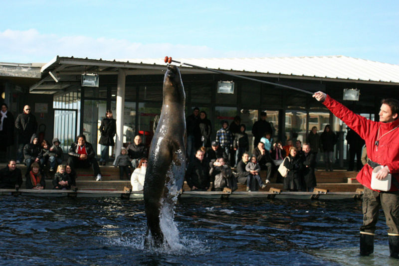 Seaquarium du Grau-du-Roi: Billet d'entrée