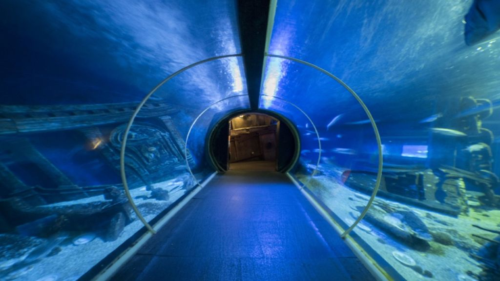 Seaquarium du Grau-du-Roi: Billet d'entrée