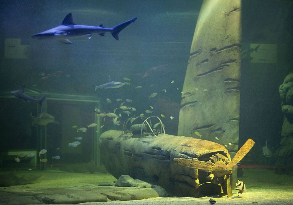 Seaquarium du Grau-du-Roi: Billet d'entrée