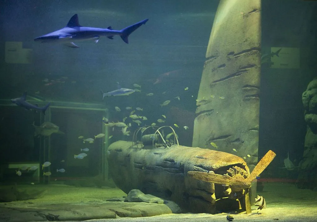 Seaquarium Le Grau-du-Roi: Entry Ticket