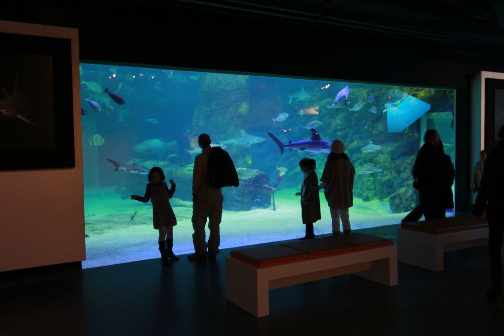 Seaquarium du Grau-du-Roi: Billet d'entrée