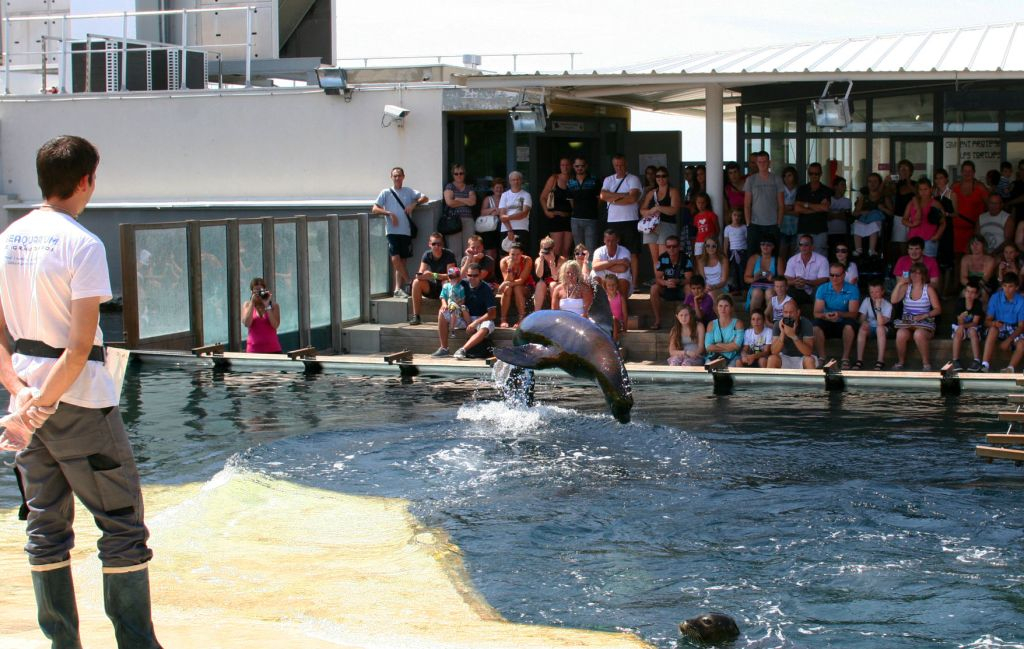 Seaquarium du Grau-du-Roi: Billet d'entrée