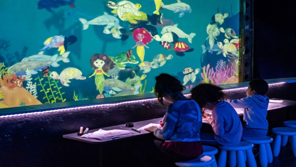 Seaquarium du Grau-du-Roi: Billet d'entrée