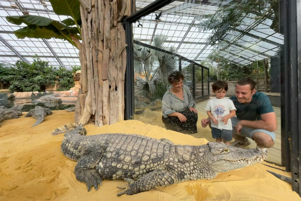 La Ferme aux Crocodiles: Billet d'entrée