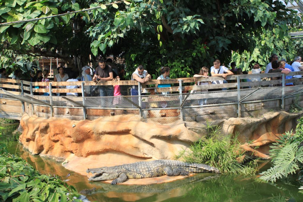 La Ferme aux Crocodiles: Entry Ticket