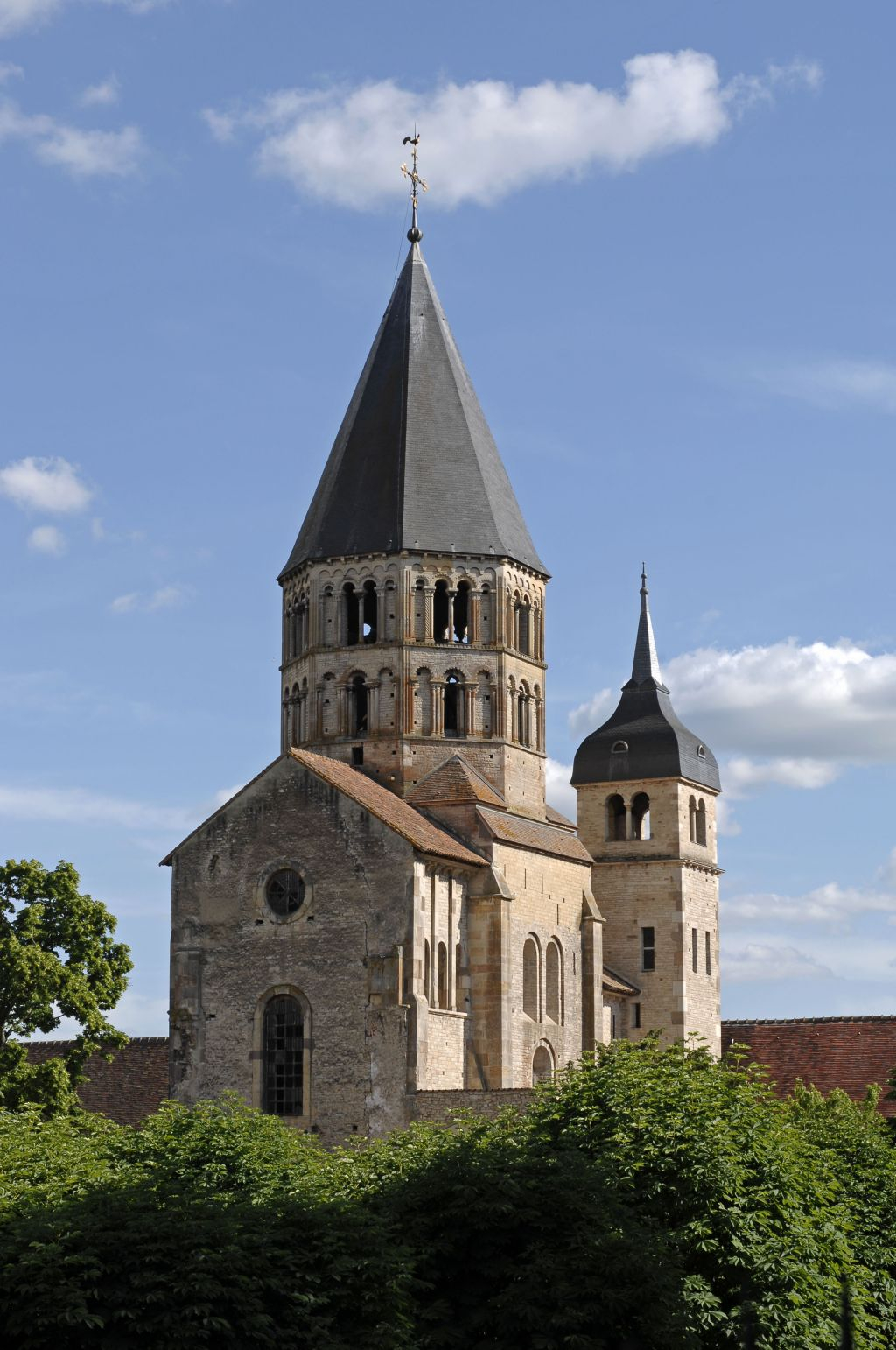 Cluny Abbey & Museum: Fast Track