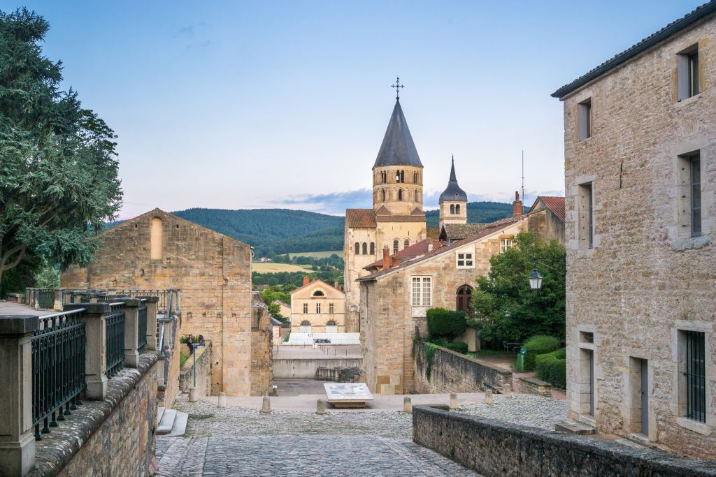Cluny Abbey & Museum: Entry Ticket