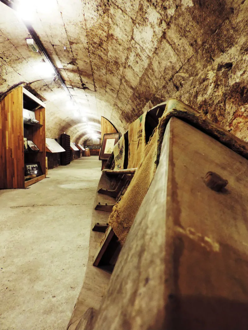Musée du Vin et du Négoce: Entry Ticket