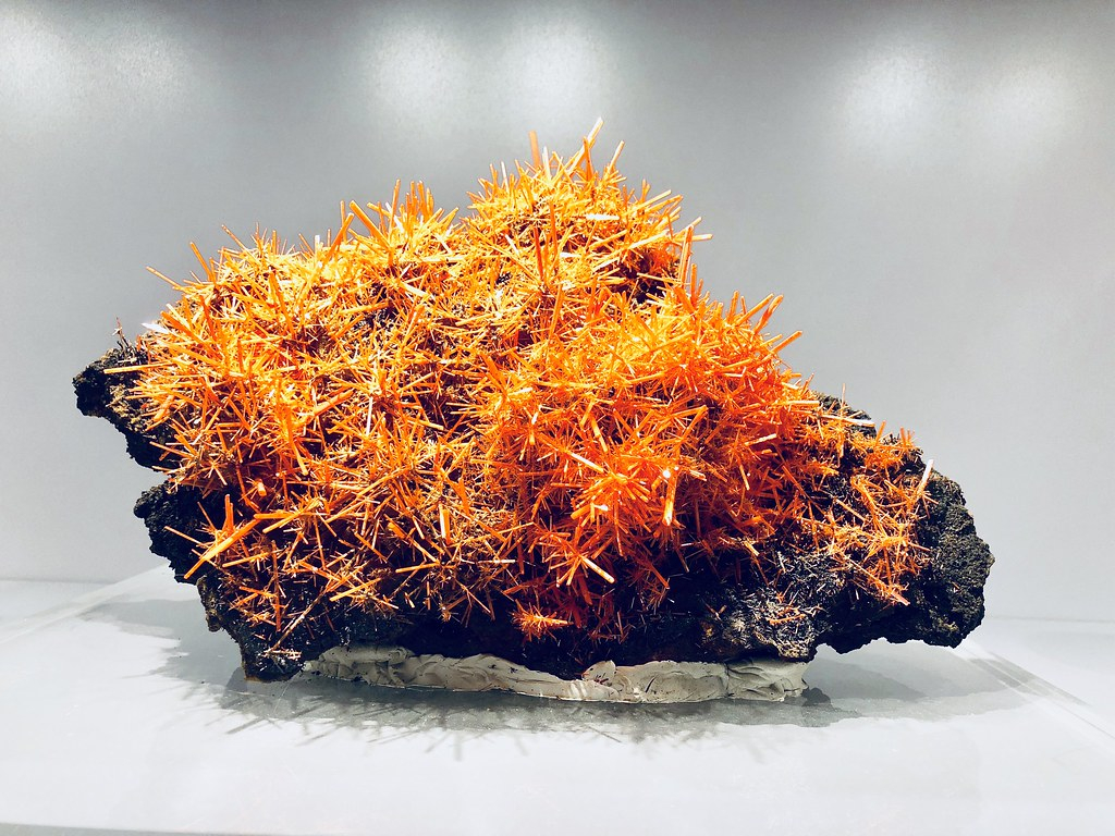 Geology and Mineralogy Gallery: Entry Ticket