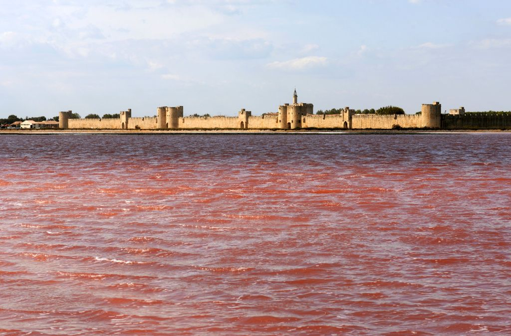 Tours et Remparts d'Aigues-Mortes: Billet d'entrée