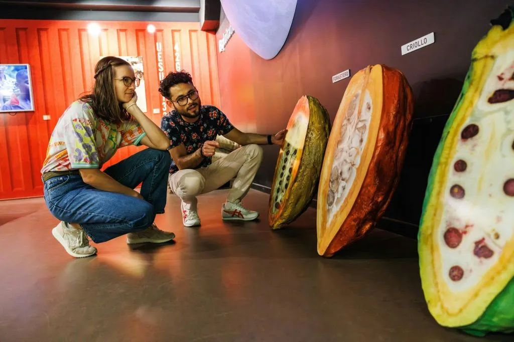 Choco Story Colmar: Billet d'entrée + Audioguide