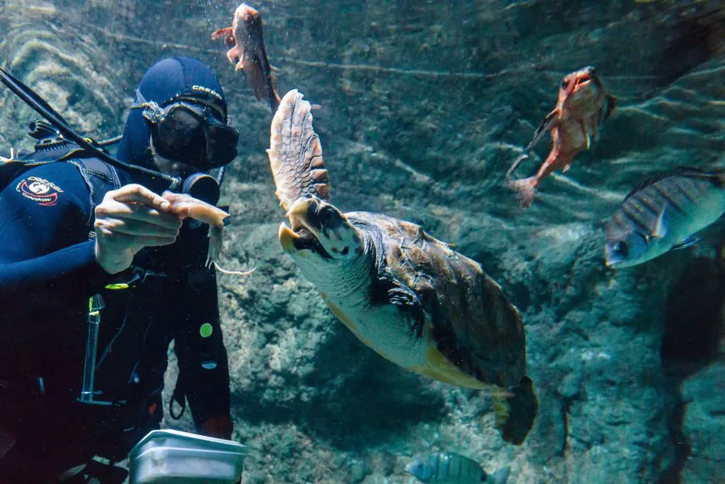 Aquarium Costa de Almería