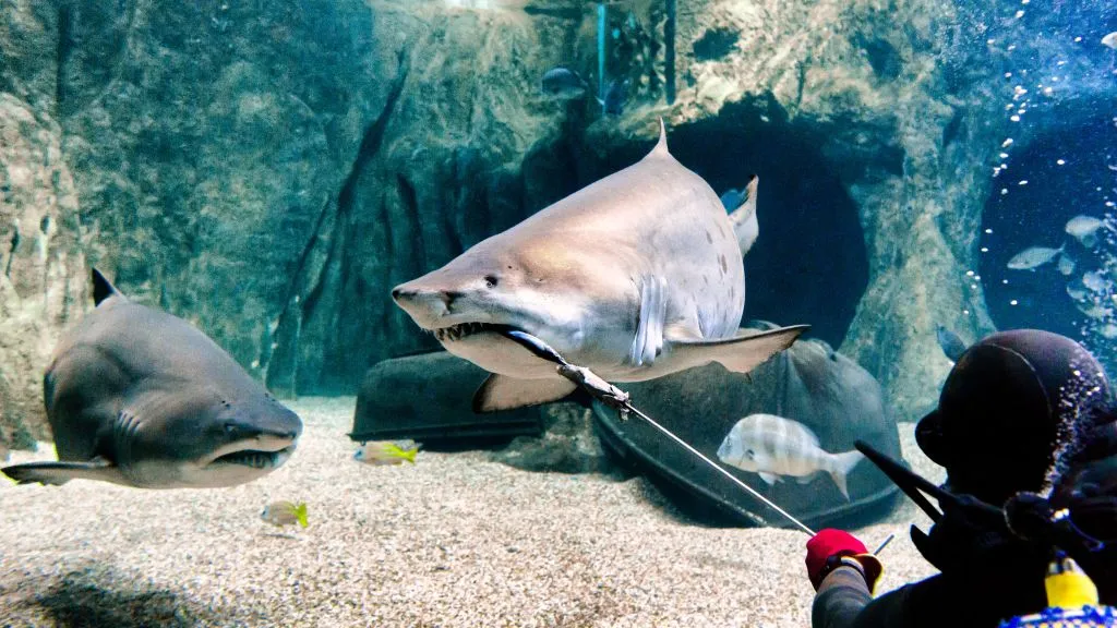 Aquarium Costa de Almería