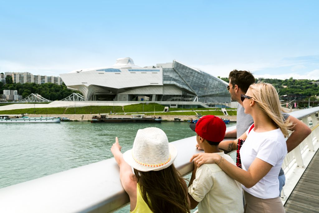 Musée des Confluences: Entry Ticket