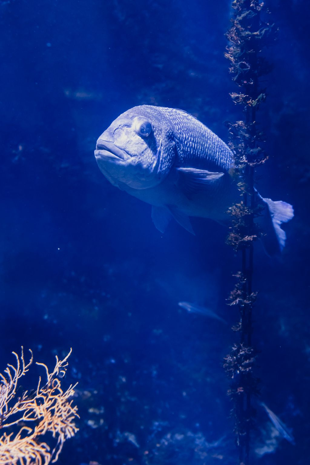 Aquarium du Grand Lyon: Entry Ticket