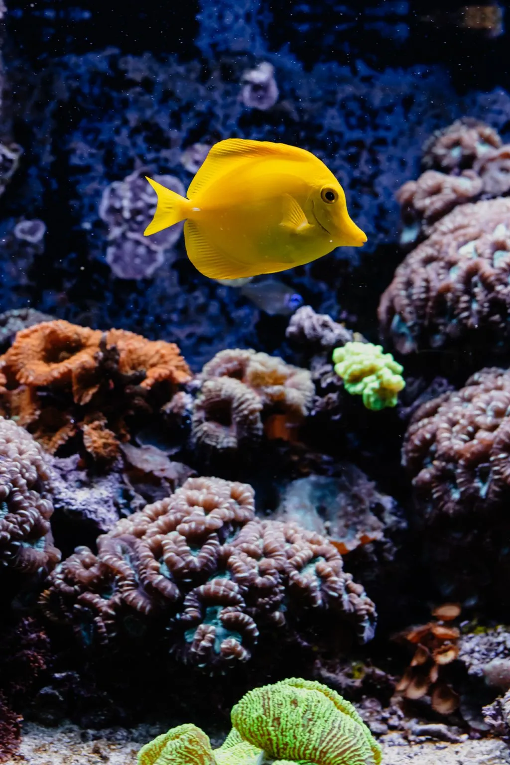 Aquarium du Grand Lyon: Entry Ticket