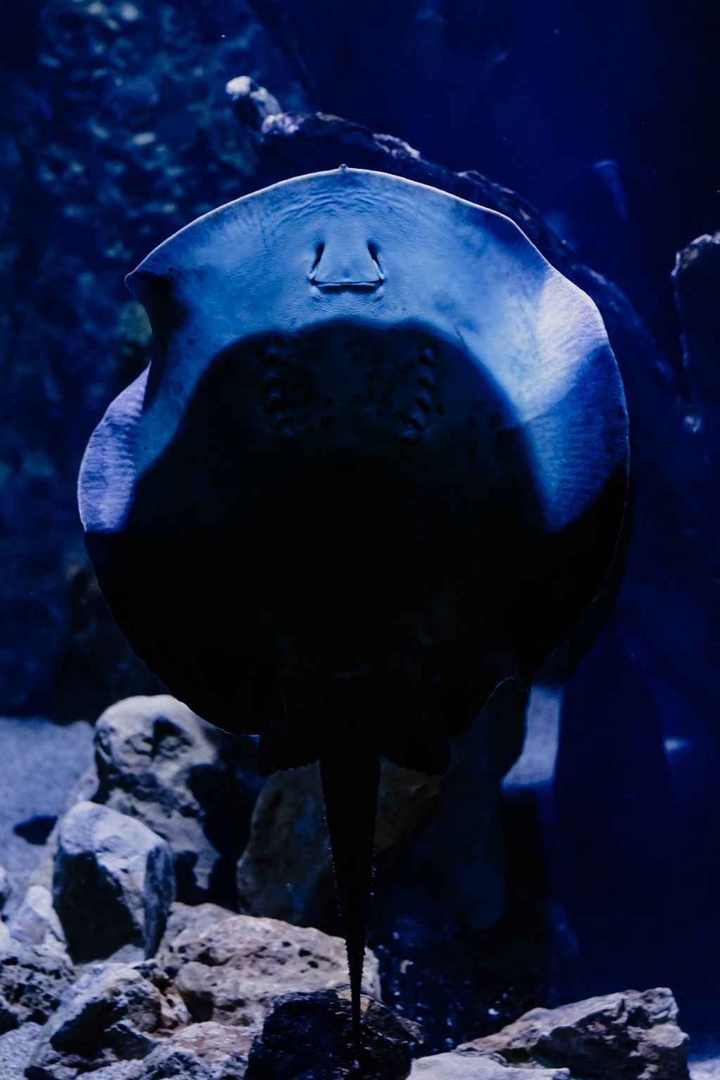 Aquarium du Grand Lyon: Entry Ticket