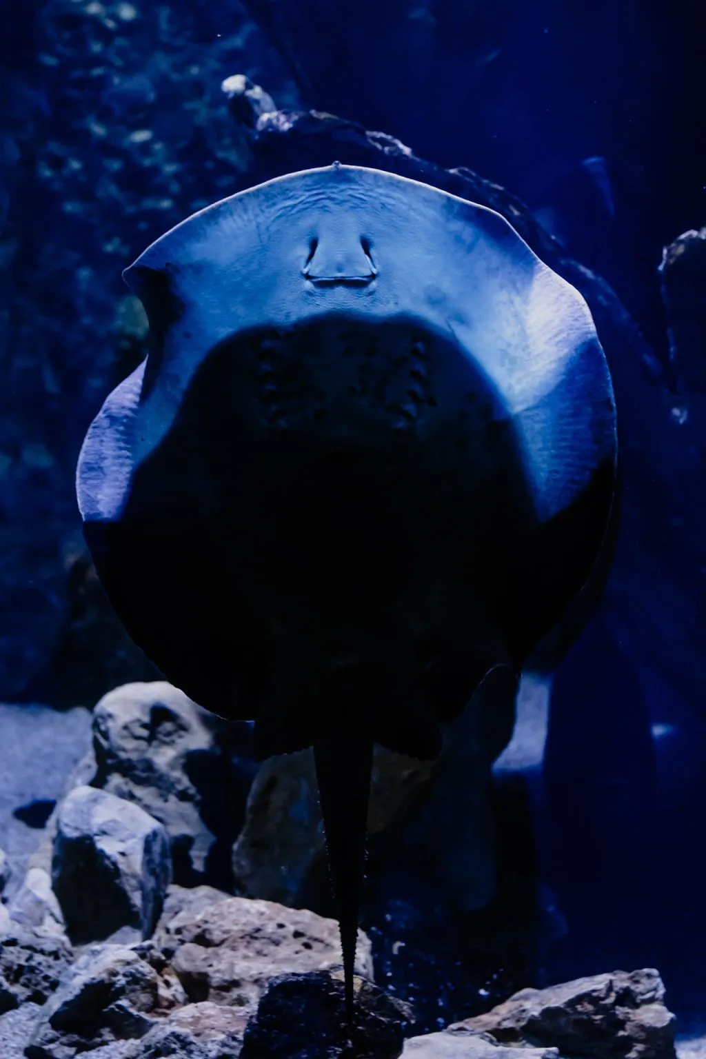 Aquarium du Grand Lyon: Entry Ticket