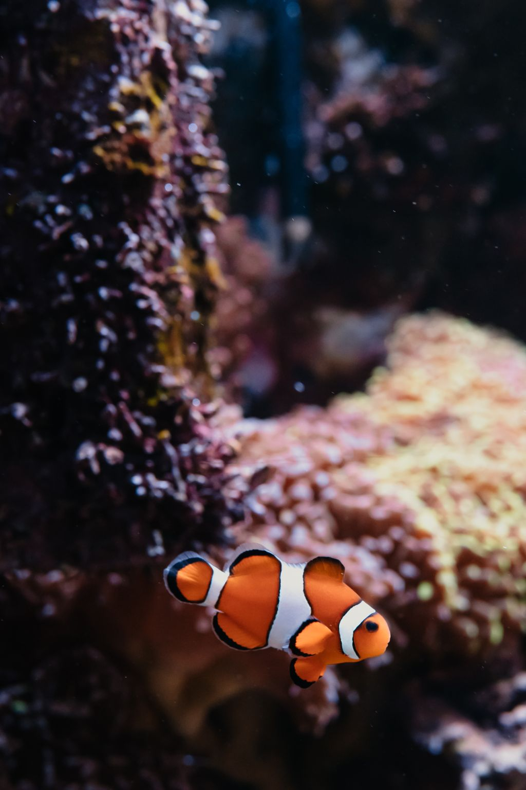 Aquarium du Grand Lyon: Entry Ticket