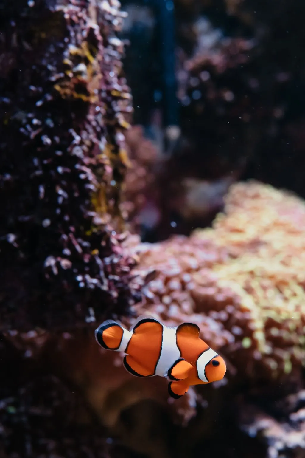 Aquarium du Grand Lyon: Entry Ticket