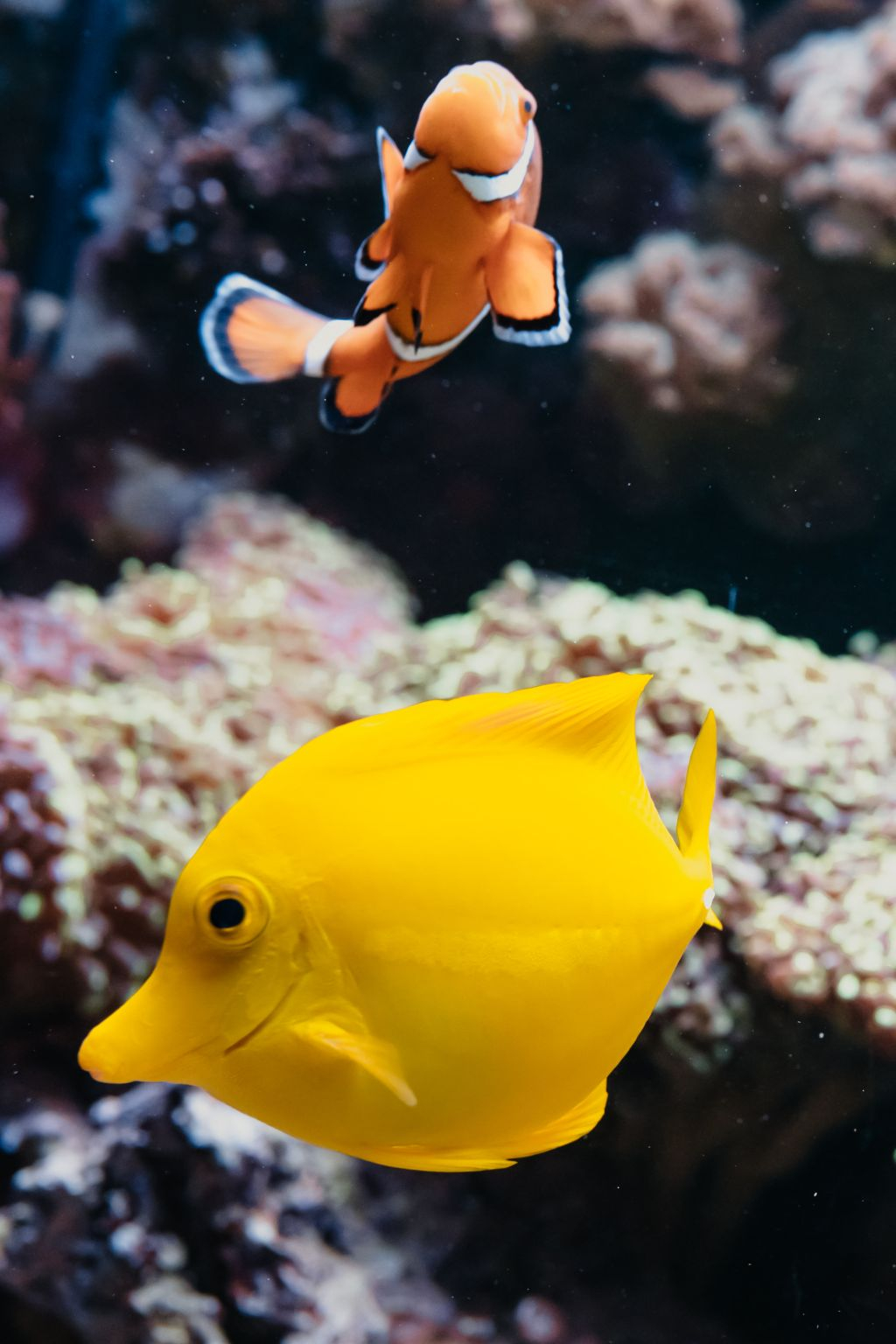 Aquarium du Grand Lyon: Entry Ticket
