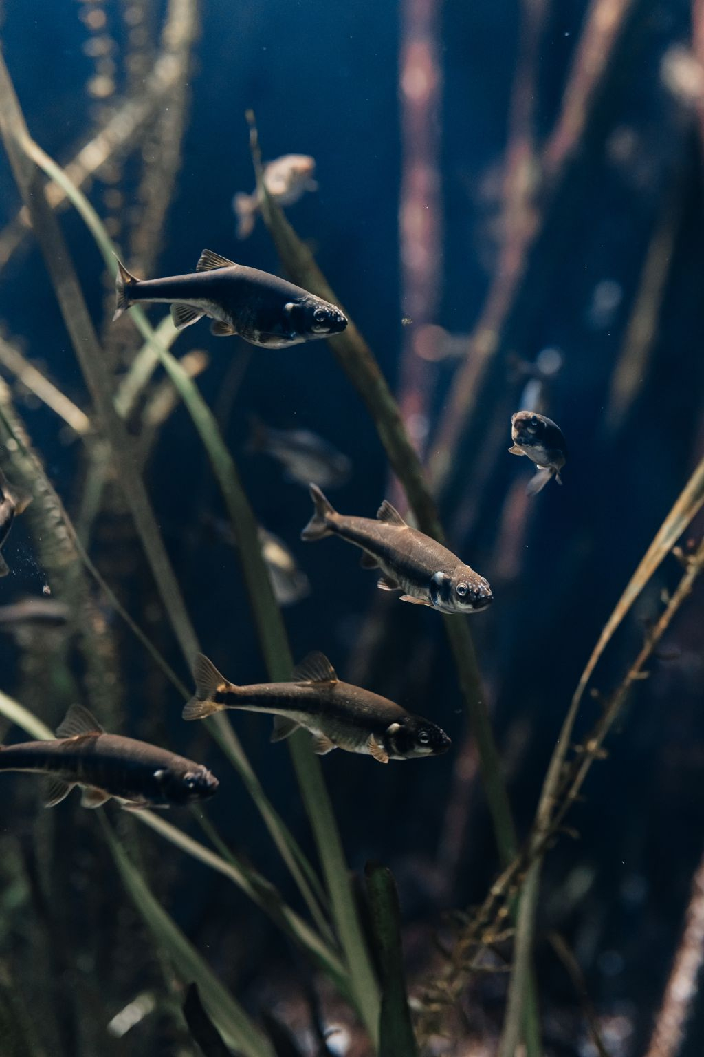 Aquarium du Grand Lyon: Entry Ticket