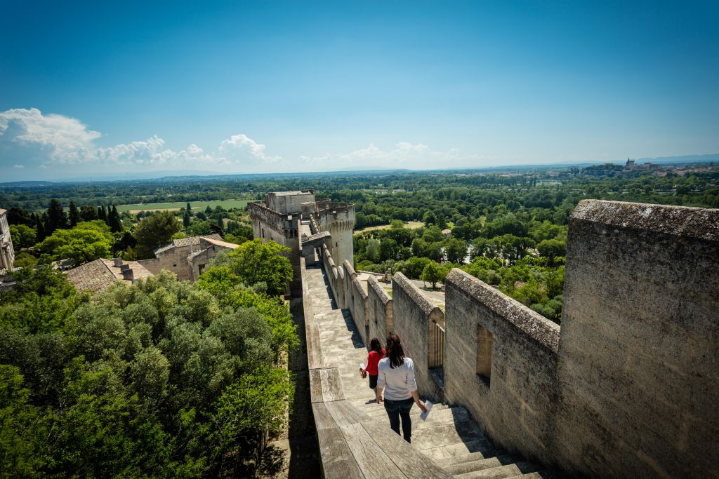 Fort Saint-André: Billet d'entrée