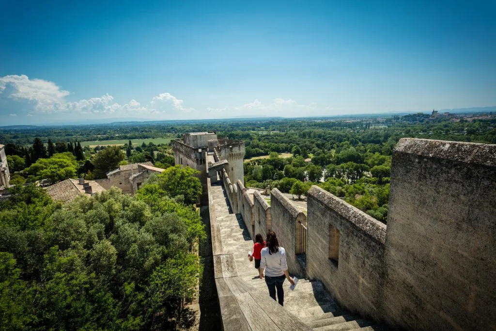 Fort Saint-André: Billet d'entrée