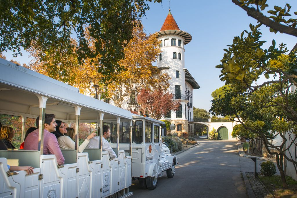 Codorníu Wineries - Guided Tours