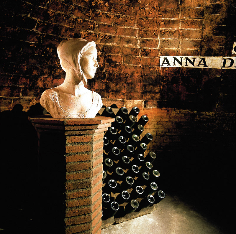 Codorníu Wineries - Guided Tours