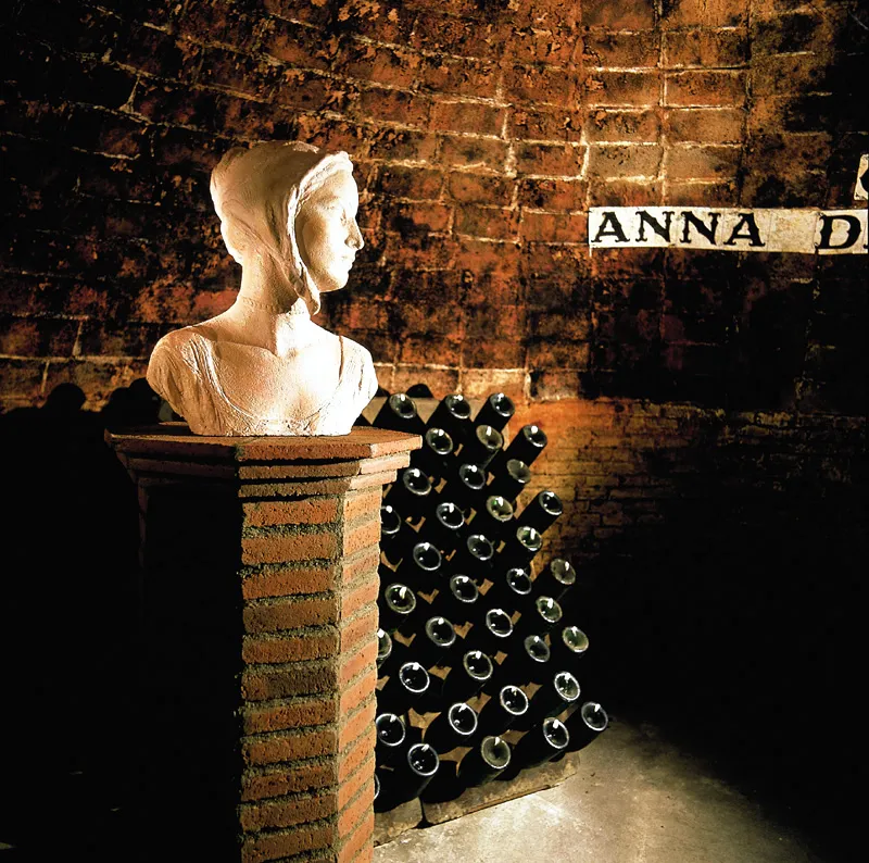 Codorníu Wineries - Guided Tours