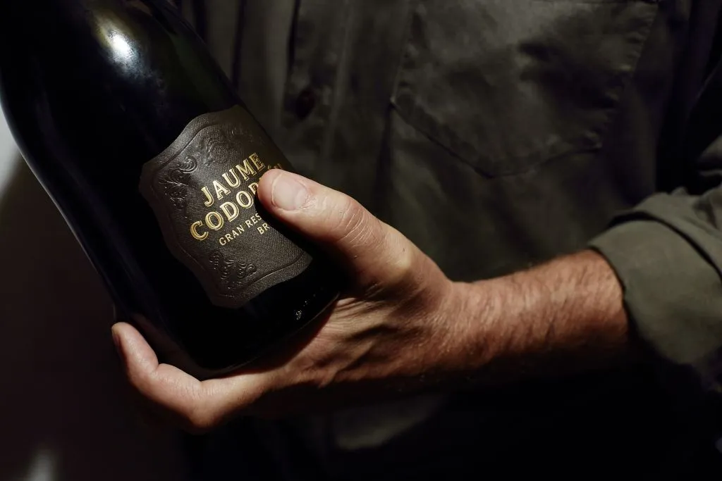 Codorníu Wineries - Guided Tours