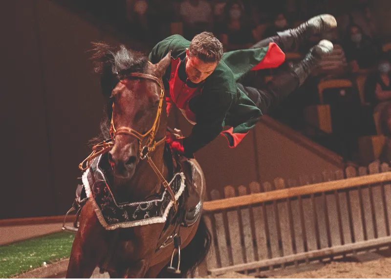 Château de Chantilly + Equestrian Show (14:30)