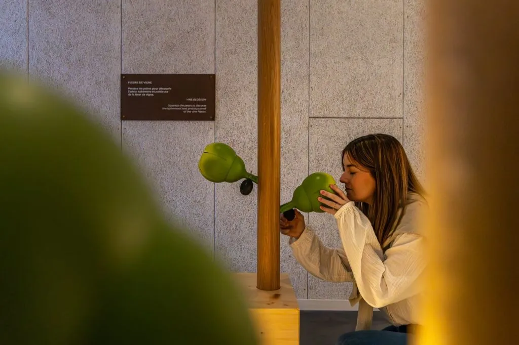 PRESSORIA - Un voyage sensoriel au cœur du champagne