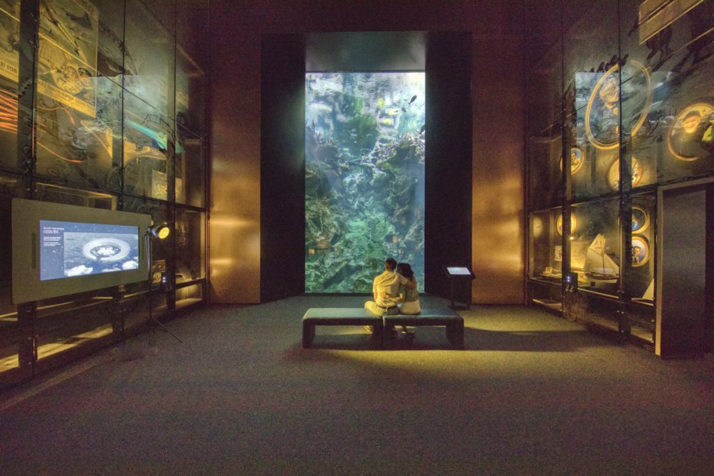 La Cité de la Mer: Billet d'entrée + Audioguide