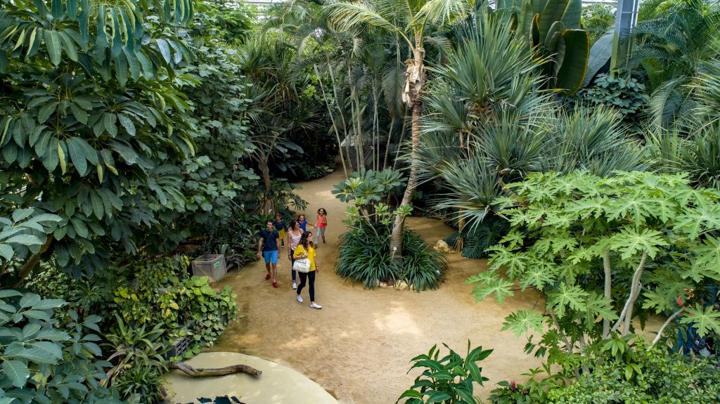 Parc Terra Botanica: Billet d'entrée