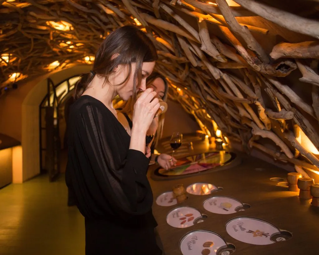 Les Caves du Louvre: Guided Tour + Wine Tasting