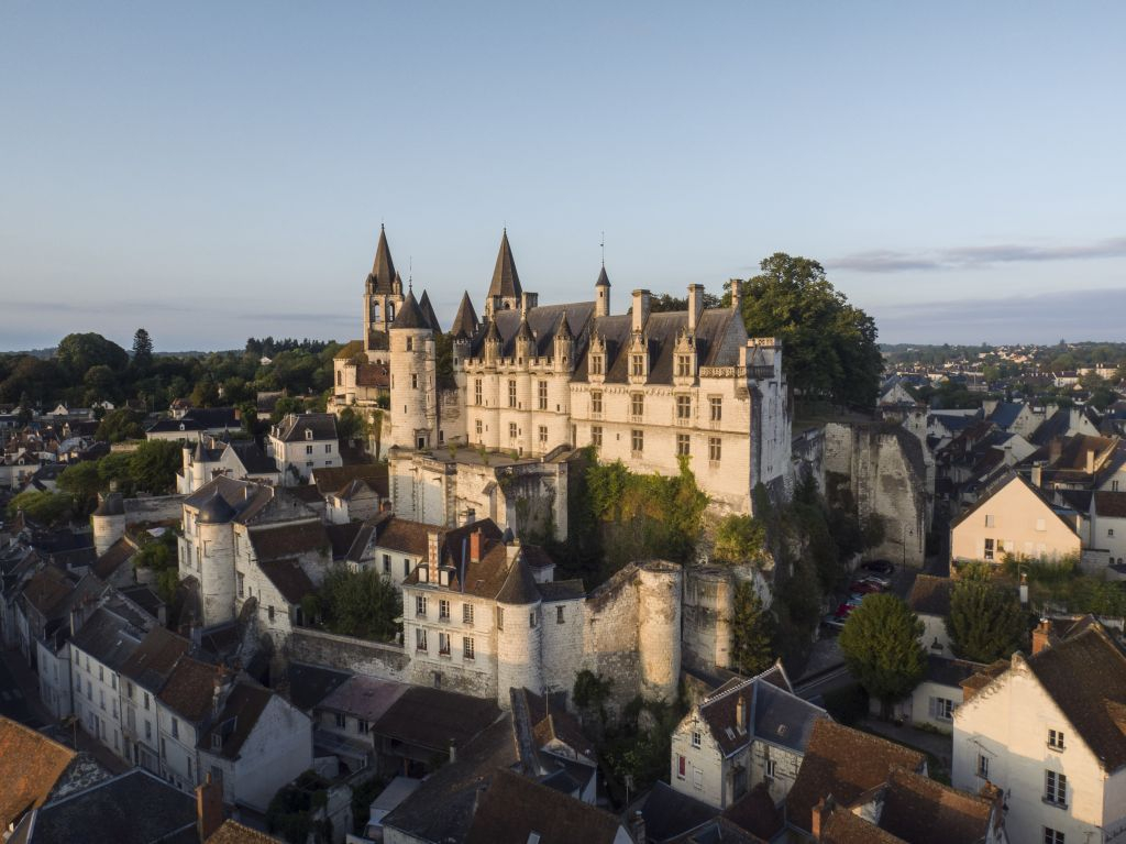 Cité royale de Loches: Billet d'entrée + Audioguide