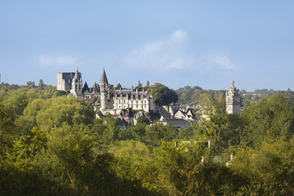 Cité royale de Loches: Billet d'entrée + Audioguide